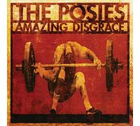 The Posies - Amazing Disgrace [Vinilo]