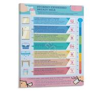 The Practical Parents Gift Breastfeeding Support Guide Lactation and Milk Storage Chart Educational Poster(Unframed,16x24inch(40x60cm))