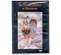 The Prairie Chicken in Minnesota