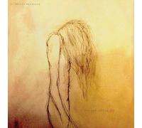 Who You Selling For - 2LP [Vinilo]