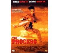 The Process [Italia] [DVD]