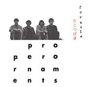 The Proper Ornaments - Foxhole