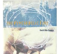 The Psychedelic Furs - Until She Comes
