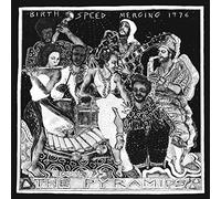 THE PYRAMIDS - BIRTH/SPEED/MERGING [Vinilo]