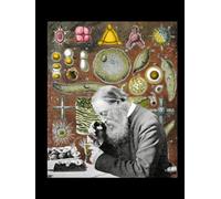 The Quiet Observer: Mixed Media Series
