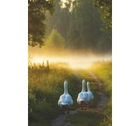 The Quiet Path : A Lined Journal for Thoughts, Dreams & Everyday Moments: A Beautiful Notebook for Writing, Journaling, and Creative Ideas: A ... for Writing, Journaling, and Creative Ideas