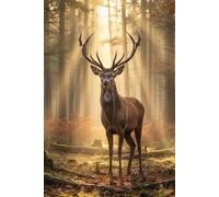 The Quiet Woods: A Nature Lover’s Notebook: 100 Lined Pages for Writing, Reflection, and Peaceful Moments