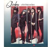 The Quireboys - A BIT OF WHAT YOU FANCY LP (VINYL ALBUM) UK PARLOPHONE 1990