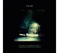 The Rain Is a Handsome Animal by New Amsterdam