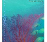 the Rainbow Orchestra - Sounds of Nature-Whale Songs