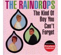 The Raindrops - Kind of Boy You Can't Forget