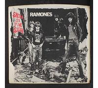 The Ramones - sheena is a punk rocker / mono 45 rpm single