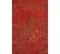 The Red Book Volume 5