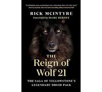 The Reign of Wolf 21: The Saga of Yellowstone's Legendary Druid Pack: 2 (Alpha Wolves of Yellowstone, 2)