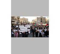 The Resounding Arab Springs.: Unveiling the Political Earthquake and Economic Aftershocks of a Revolution Unfinished