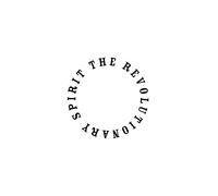 The Revolutionary Spirit - Sunshine [Vinilo]