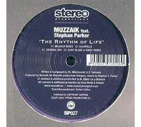 The Rhythm Of Life-12"