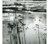 The River Only Brings Poison