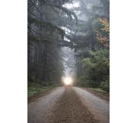 THE ROAD BACK & THE ROAD AHEAD: Volume One: A Cole & Wes Story (The Cole & Wes Series)