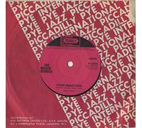 The Rockin' Berries - Poor Man's Son - Solid