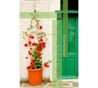 The Room Behind The Door