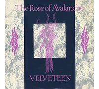 The Rose Of Avalanche - Velveteen