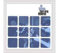 The Salteens - Short Term Memories