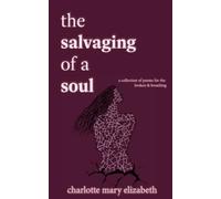 the salvaging of a soul: a collection of poems for the broken and breathing