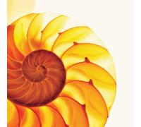 The Samuel Jackson 5 - Easily Misunderstood [Vinilo]