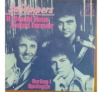 The Sandpipers - It should have lasted forever / Vinyl single [Vinyl-Single 7'']