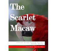 The Scarlet Macaw: A Visual Journey Through Nature's Colorful Marvel, A Dazzling Photo Collection, The Perfect Gift for Parrot Lovers and Tropical Nature Admirers.
