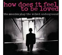 The Scenics - How Does It Feel to Be Loved Scenics Play The