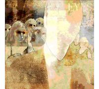The Scottish Enlightenment - Eyes