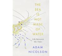 The Sea is Not Made of Water: Life Between the Tides