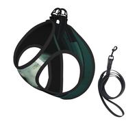 The Seals in The Cabin - Arnés para perro, equipado con correas reflectantes y hebillas de liberación rápida, adecuado para gatos y perros pequeños