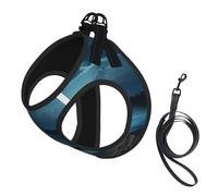 The Seaside at Night - Arnés para perro, equipado con correas reflectantes y hebillas de liberación rápida, adecuado para gatos y perros pequeños