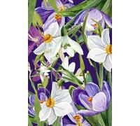 The Seasons : Spring Journal