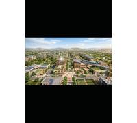 The Second African Awakening: Revolutionary Leaders