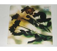 the second summer of love / i'll be waiting 45 rpm single