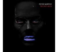 The Secret Bees of Ninth by Peter Murphy (2011-12-06)