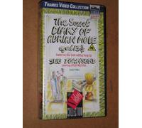 The Secret Diary Of Adrian Mole aged 13 3/4 PART TWO (VHS VIDEO)