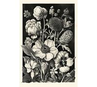 The Secret Garden Journal - Botanical Pages for Quiet Thoughts: A 200-Page Blank Notebook with Vintage Floral Cover
