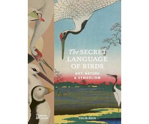 The Secret Language of Birds: Art, Nature & Symbolism