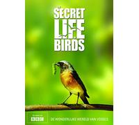 The Secret Life of Birds - DVD