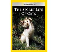 The Secret Life of Cats (DVD) (Importación USA)