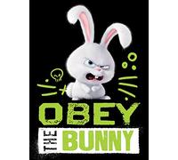 The Secret Life Of Pets La Vida Secreta de Mascotas Conejo Lienzo Impresiones, Multicolor, 60 x 80 cm