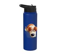 The Secret Life of Pets Max Stainless Steel Insulated Water Bottle
