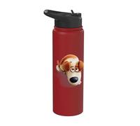 The Secret Life of Pets Max Stainless Steel Insulated Water Bottle