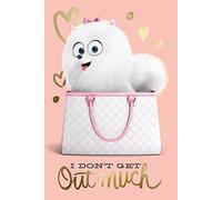 The Secret Life of Pets Póster Grande de La Vida Secreta de Las Mascotas, con Texto en inglés, Madera, Multicolor