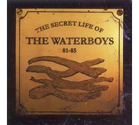The Secret Life Of The Waterboys '81-'85